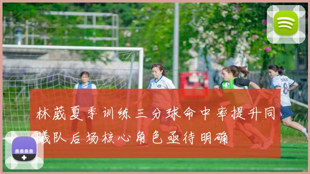 林葳夏季训练三分球命中率提升同曦队后场核心角色亟待明确